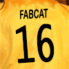 FabCat